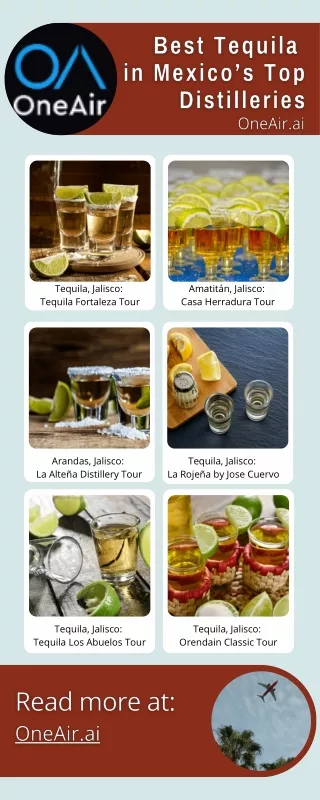 Best Tequila in Mexico’s Top Distilleries - OneAir.ai