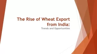 The Rise of Wheat Export from India: Trends and Opportunities