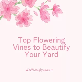 Top Flowering Vines to Beautify Your Yard