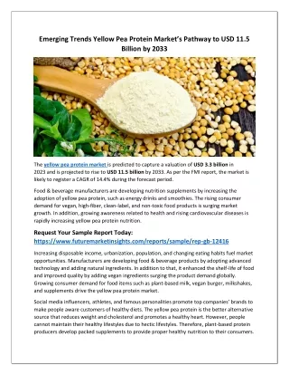 Yellow Pea Protein Market