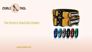 Top Trends in Dog Collar Designs