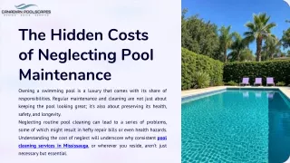 The Hidden Costs of Neglecting Pool Maintenance