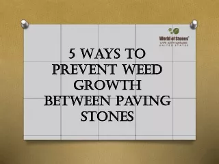 5 Ways to Prevent Weed Growth Between Paving