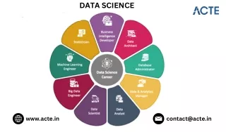 What Is The Right Path To Become  A Data Scientist