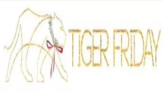 Buy Unitards Dancewear Online - Tiger Friday