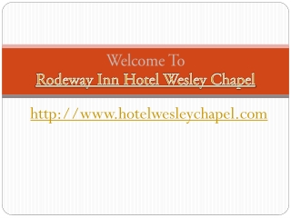 Hotel near wesley chapel fl