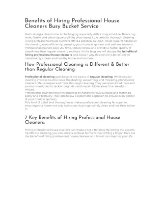 Busy Bucket (Professional House Cleaners)