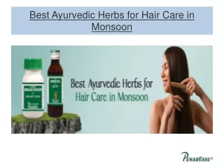 Best Ayurvedic Herbs for Hair Care in Monsoon