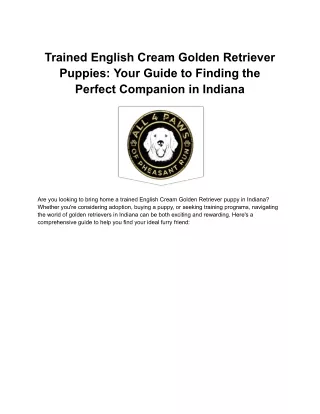 Trained English Cream Golden Retriever Puppies_ Your Guide to Finding the Perfect Companion in Indiana