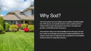 Sod Installation