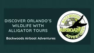 Discover Orlando’s Wildlife with Alligator Tours