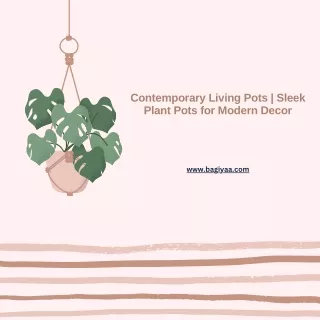 Contemporary Living Pots  Sleek Plant Pots for Modern Decor