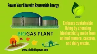 Get started with renewable energy!