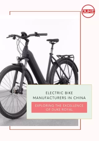 electric bike manufacturers in chinaebike