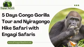 5 Days Congo Gorilla Tour and Nyiragongo Hike Safari with Engagi Safaris