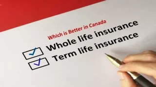 Which is Better in Canada: Term Life Insurance or Whole Life Insurance