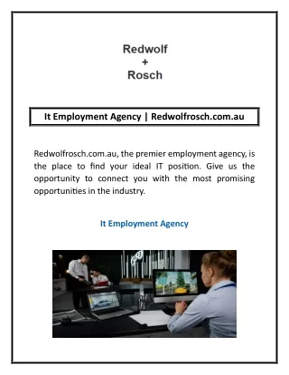It Employment Agency | Redwolfrosch.com.au