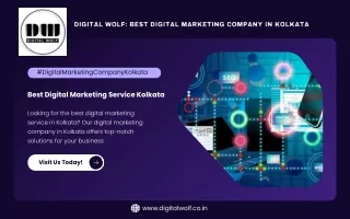 Digital Wolf: Best Digital Marketing Company in Kolkata