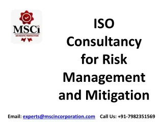 ISO Consultancy  for Risk Management and Mitigation