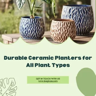 Durable Ceramic Planters for All Plant Types