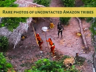 Rare photos of uncontacted Amazon tribes