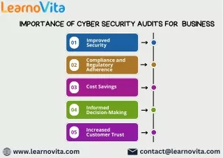 Importance of Cyber audit for Business