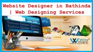 Website Designer in Bathinda