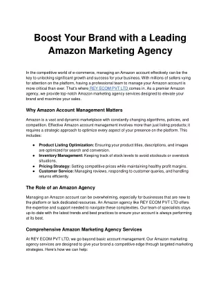 Boost Your Brand with a Leading Amazon Marketing Agency