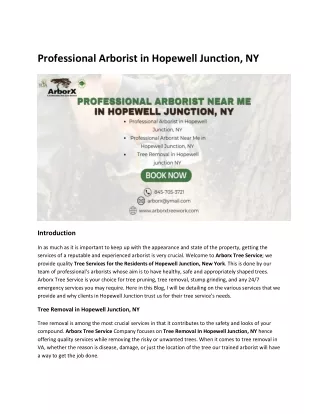 Professional Arborist in Hopewell Junction