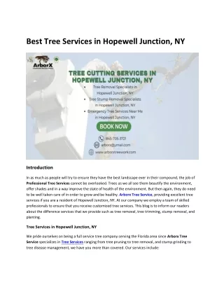 Best Tree Services in Hopewell Junction