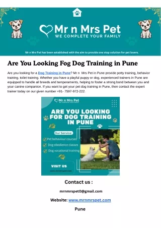 Are You Looking For Dog Training in Pune