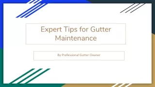Expert Tips for Gutter Maintenance