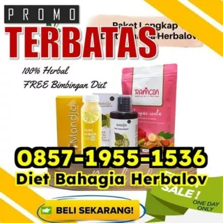 WA 0857-1955-1536 Cara Cari Obat Pelangsing Yang Cepat Dan Aman Cempaka Putih