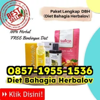 WA 0857-1955-1536 Cara Obat Diet Penghancur Lemak Balungbangjaya Padangsidimpuan