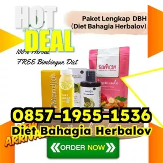 WA 0857-1955-1536 Herbal Obat Alami Susut Perut Pesanggrahan Padang Lawas