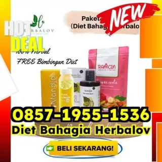 WA 0857-1955-1536 Herbal Obat Diet Paling Cepat Menurunkan Berat Badan Kepulauan