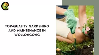 Top-quality Gardening And Maintenance In Wollongong