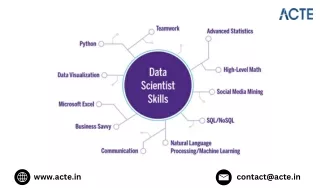 What role does a data scientist play in today's industries?