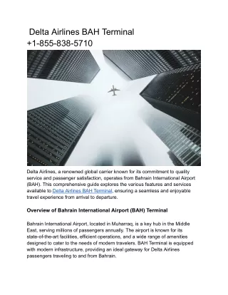 Delta Airlines BHA Terminal