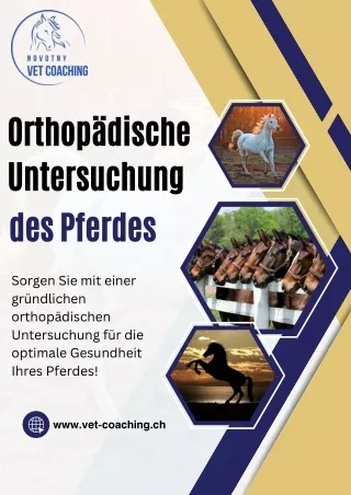 Orthopädische Untersuchung des Pferdes: Umfassender Gesundheitscheck