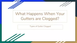 Types of Gutter Clogged