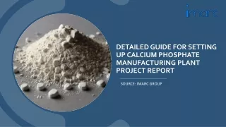 Calcium Phosphate Manufacturing Plant Project Report
