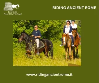 Premium Horse Rentals: Your Gateway to Equestrian Adventures