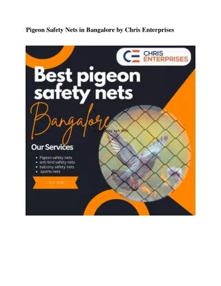 Best Pigeon Safety Nets in Bangalore