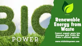 Make the switch to biopower now