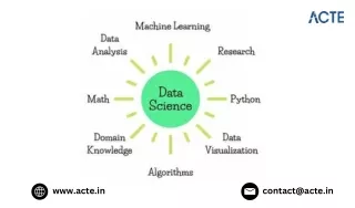 What Is The Brutal Truth  About Data Science PDF