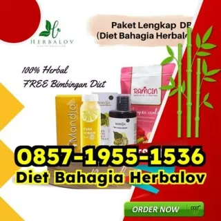 WA 0857-1955-1536 Panduan Obat Diet Manjur Dan Aman Kebon Jeruk Tapanuli Selatan