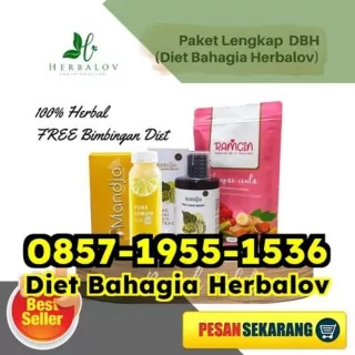 WA 0857-1955-1536 Produk Herbal Penghancur Lemak Perut Ciracas Asahan