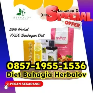 WA 0857-1955-1536 Program Diet Tanpa Minum Obat Pelangsing Senen Kubu Raya