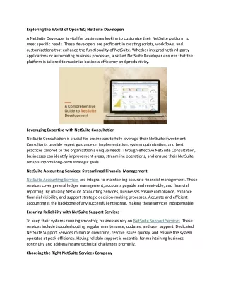 Exploring the World of OpenTeQ NetSuite Developers